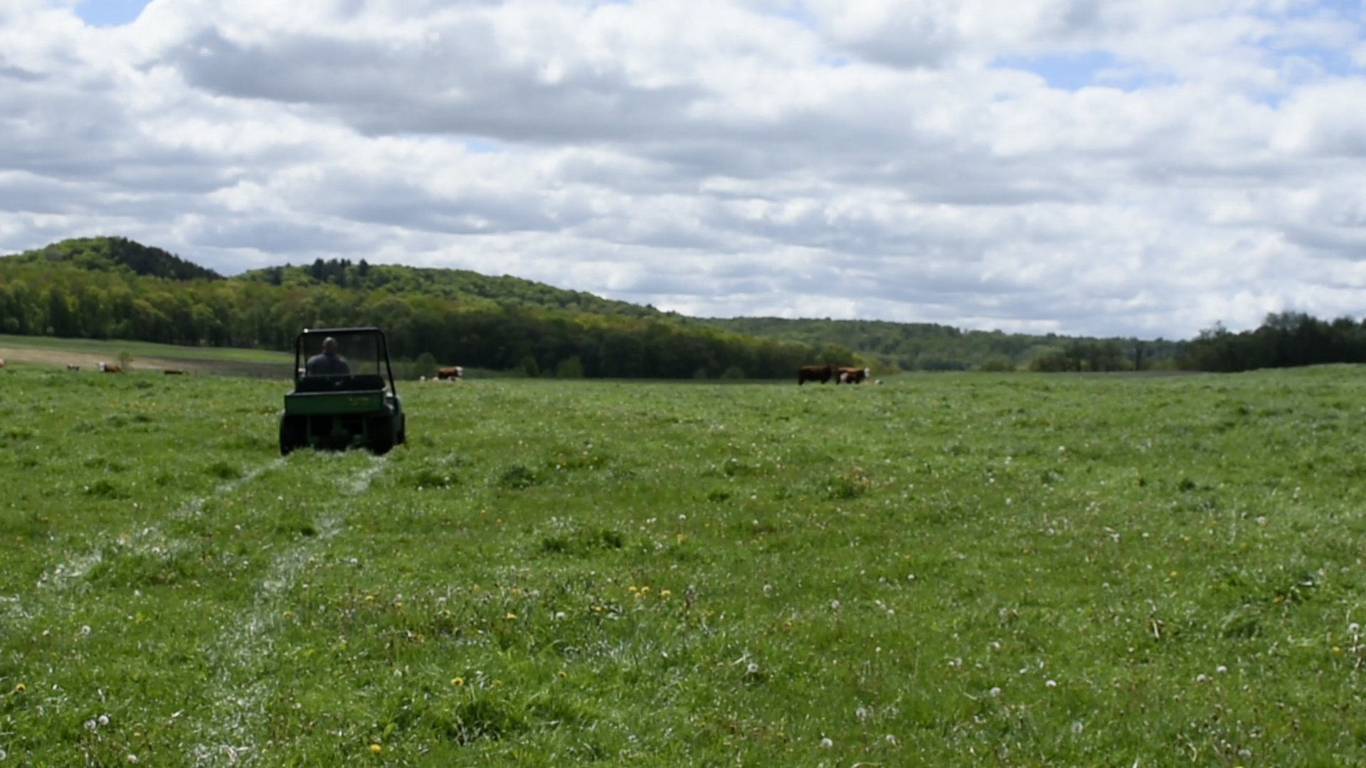 brookview-acres4.jpg