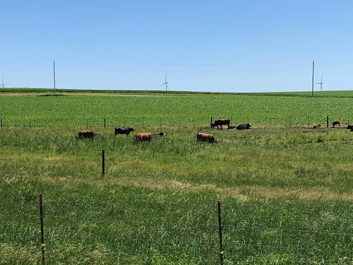 Riechers Beef Pictures