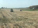 Riechers Beef Pictures