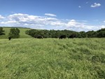 Spring Creeks Cattle Company 