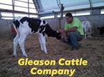 Gleason Cattle Company