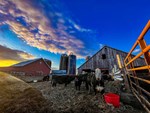 Riechers Beef Pictures