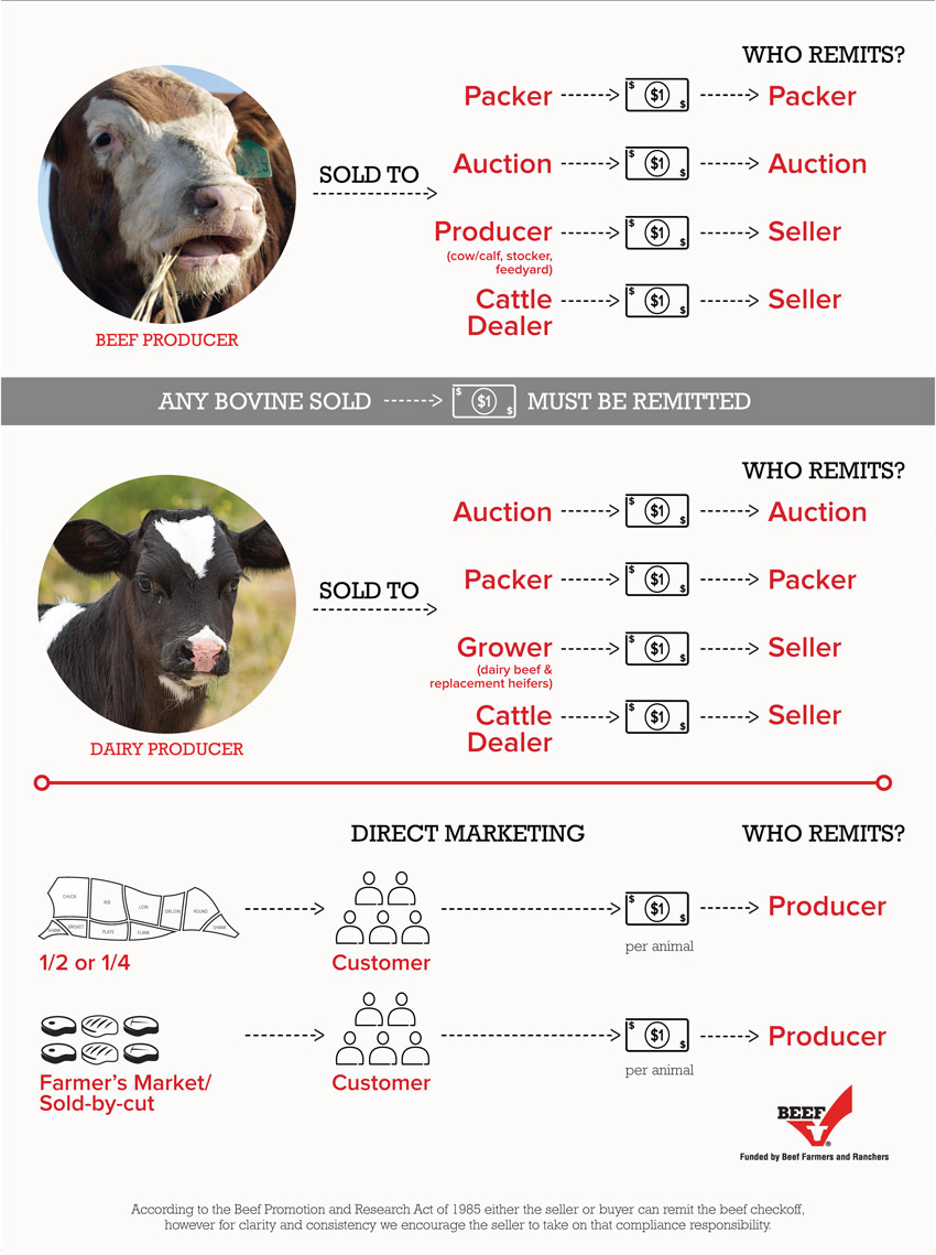 compliance-infographic-poster-mi-version-2.png
